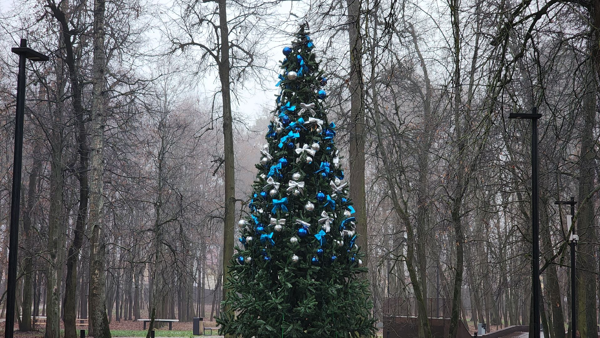 парки подмосковья, зимний сезон, зима в подмомсковье, лосино-петровский,