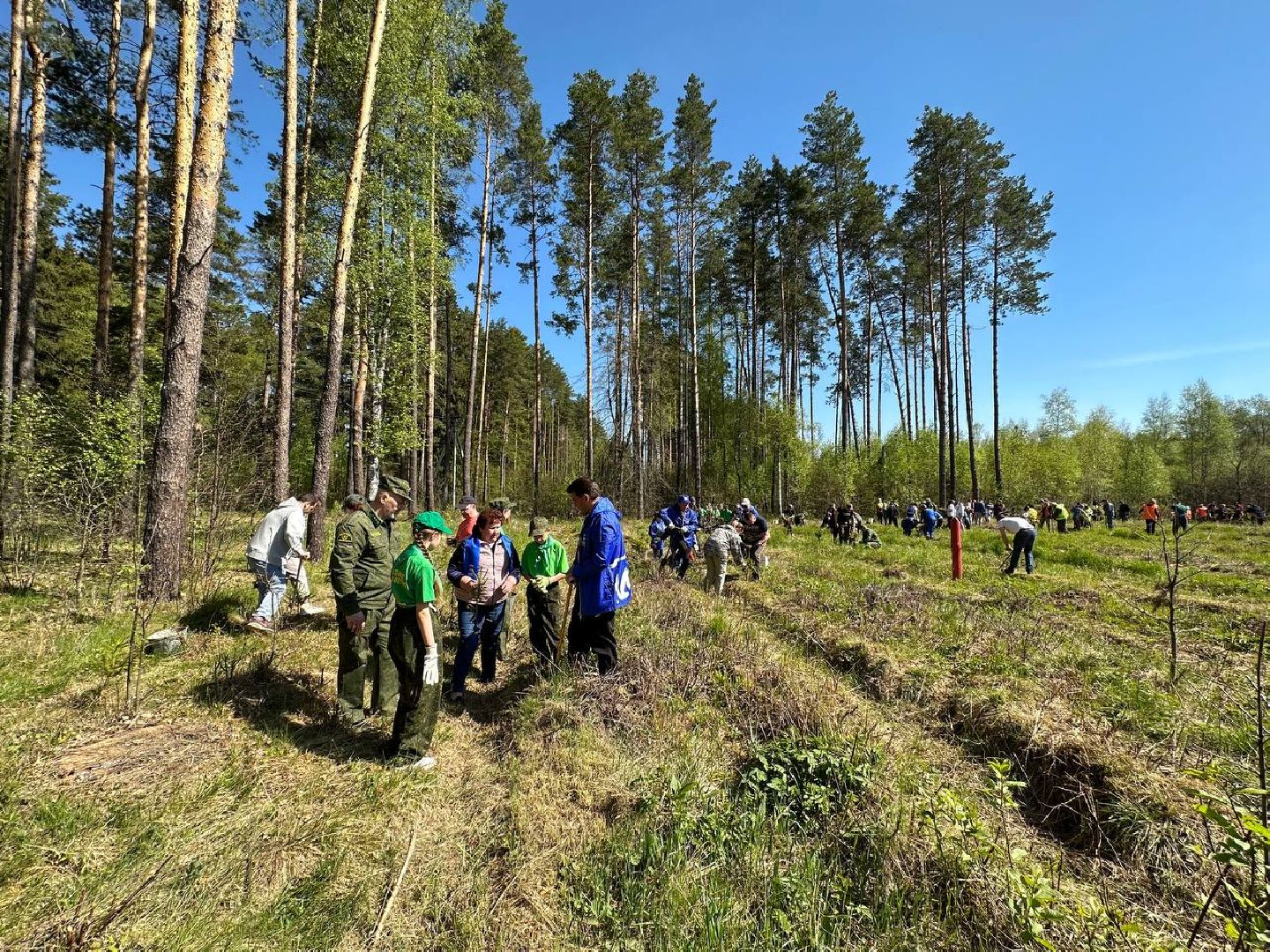 Можайск, Можайский городской округ, Подмосковье, Лес Победы, акция, День Победы