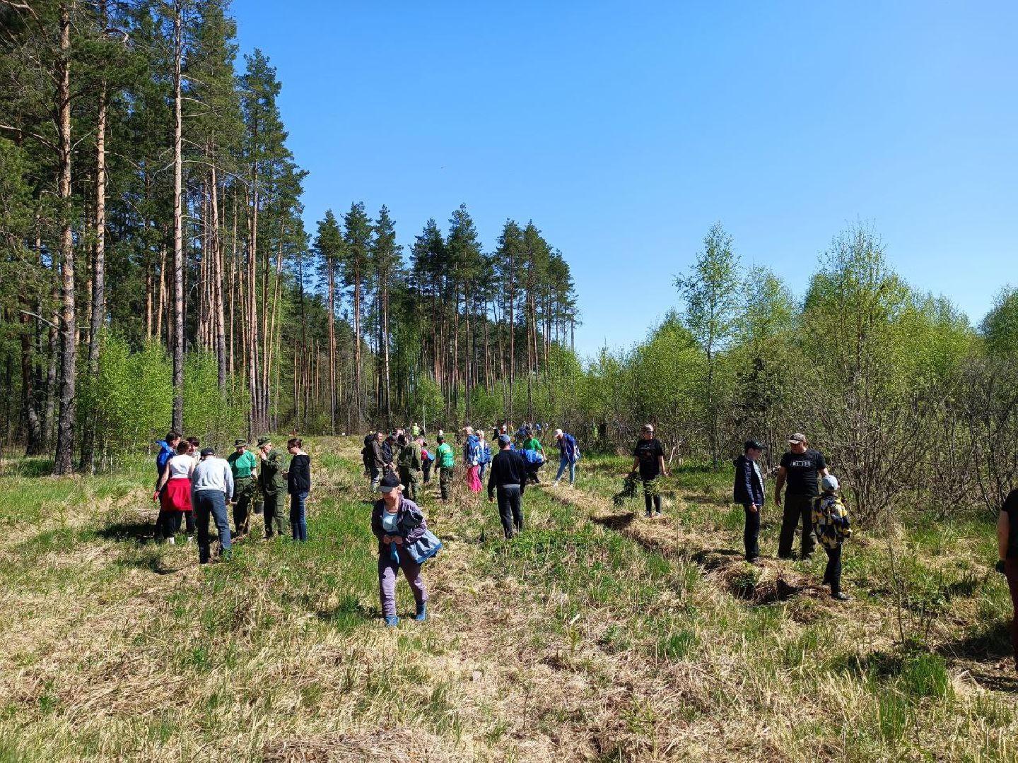 Можайск, Можайский городской округ, Подмосковье, Лес Победы, акция, День Победы