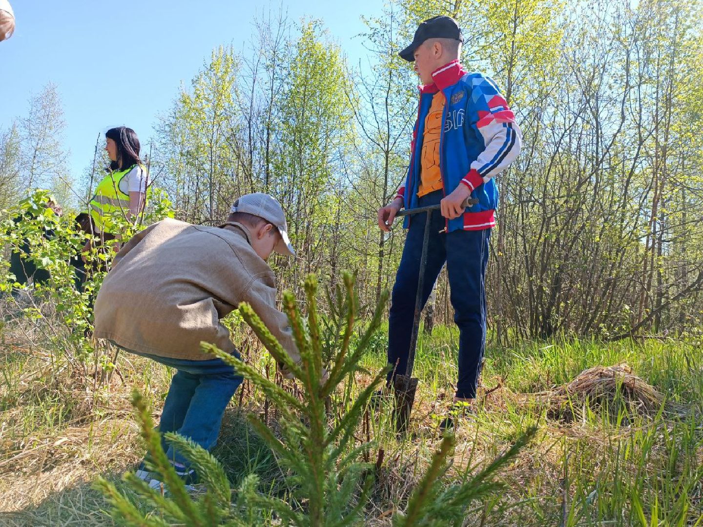 Можайск, Можайский городской округ, Подмосковье, Лес Победы, акция, День Победы