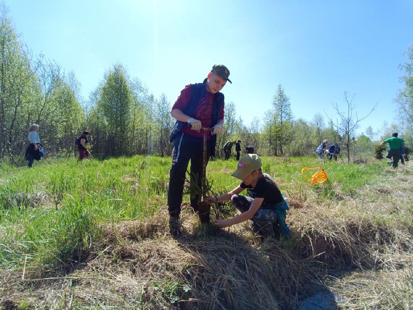 Можайск, Можайский городской округ, Подмосковье, Лес Победы, акция, День Победы