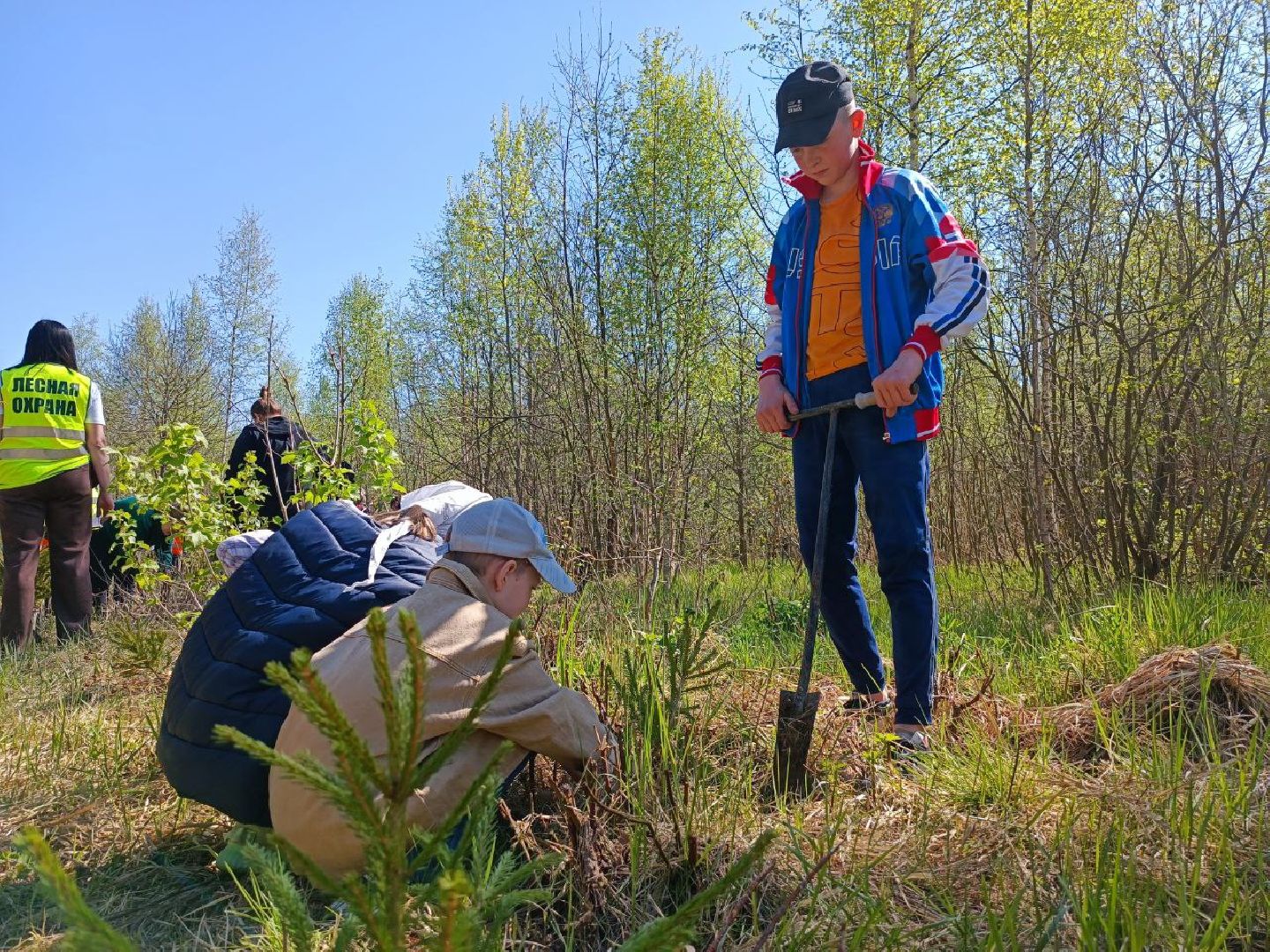 Можайск, Можайский городской округ, Подмосковье, Лес Победы, акция, День Победы