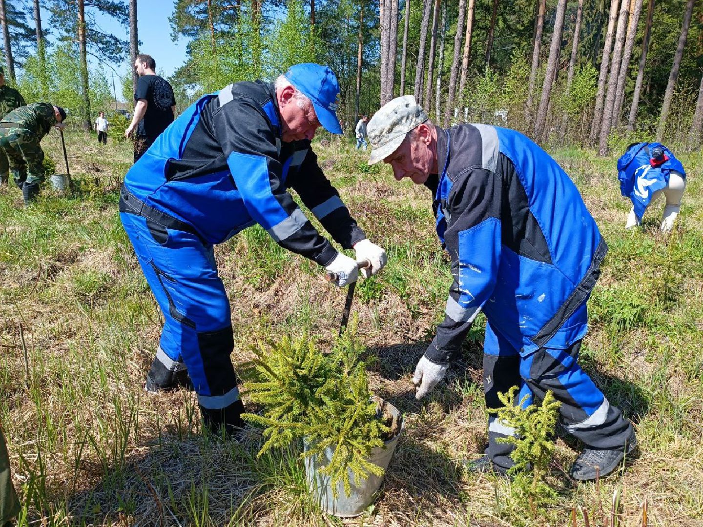Можайск, Можайский городской округ, Подмосковье, Лес Победы, акция, День Победы