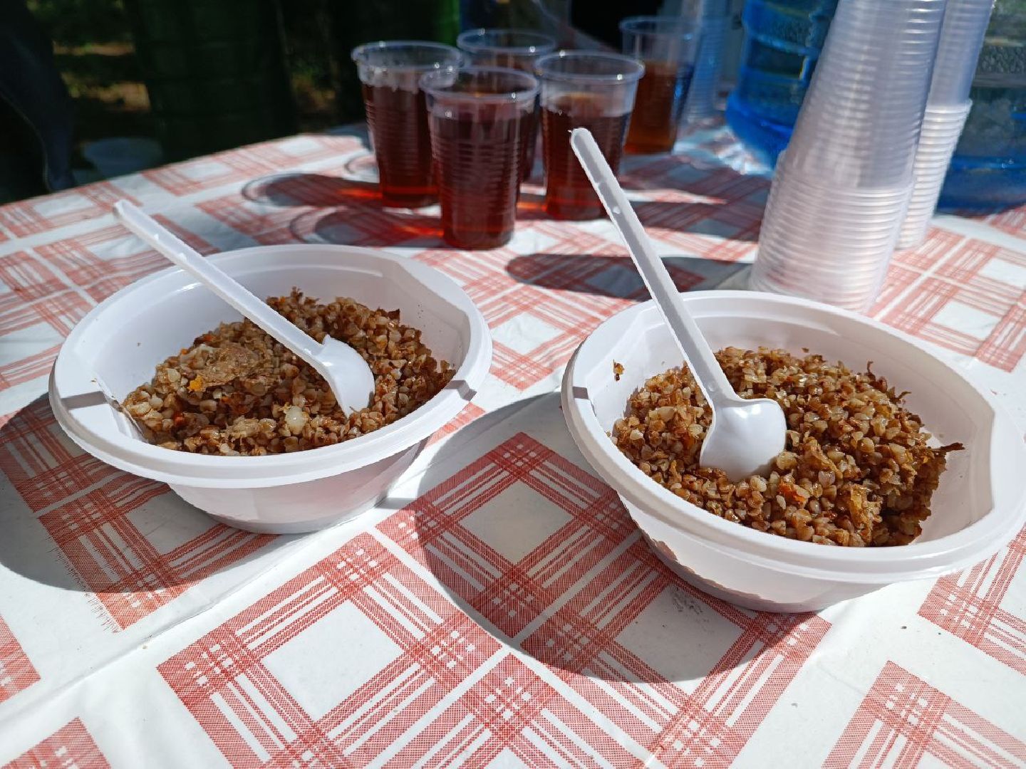 Можайск, Можайский городской округ, Подмосковье, Лес Победы, акция, День Победы