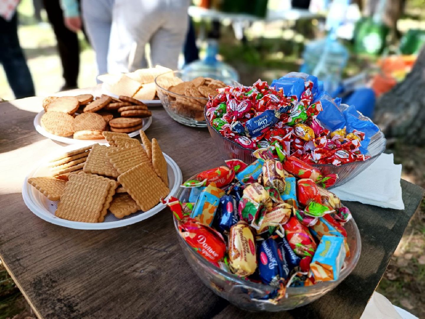 Можайск, Можайский городской округ, Подмосковье, Лес Победы, акция, День Победы
