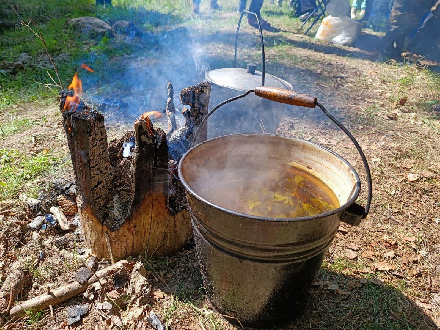 Можайск, Можайский городской округ, Подмосковье, Лес Победы, акция, День Победы