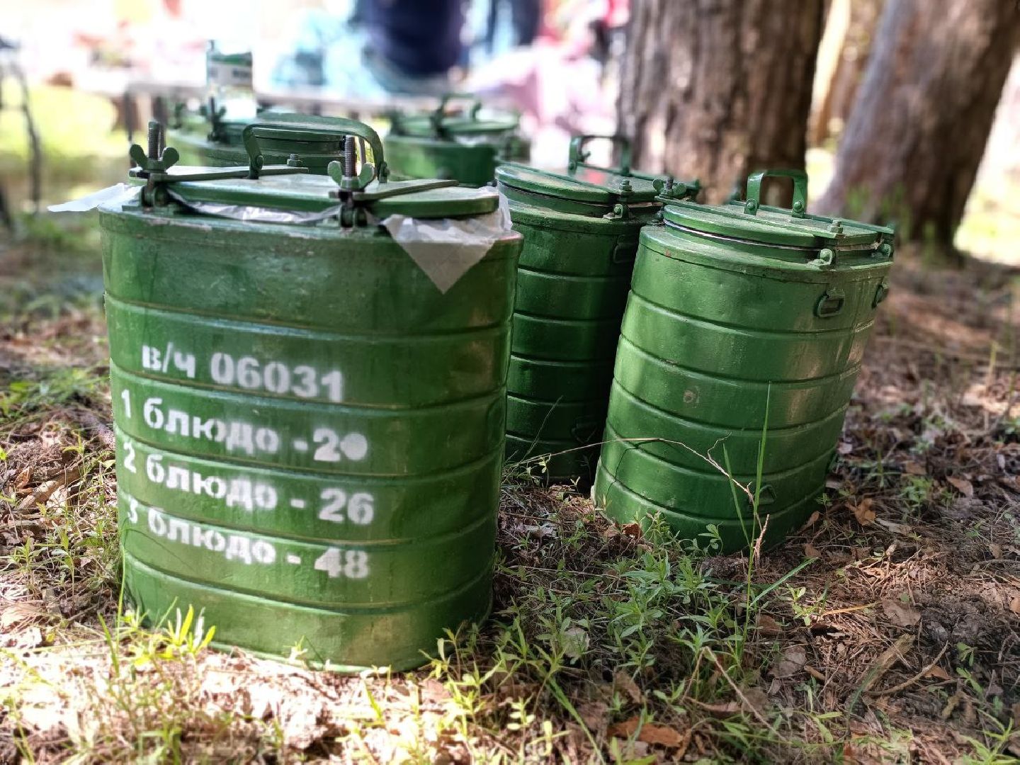 Можайск, Можайский городской округ, Подмосковье, Лес Победы, акция, День Победы