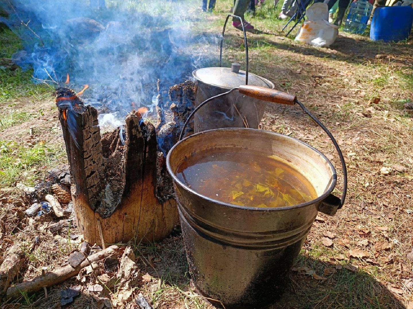 Можайск, Можайский городской округ, Подмосковье, Лес Победы, акция, День Победы