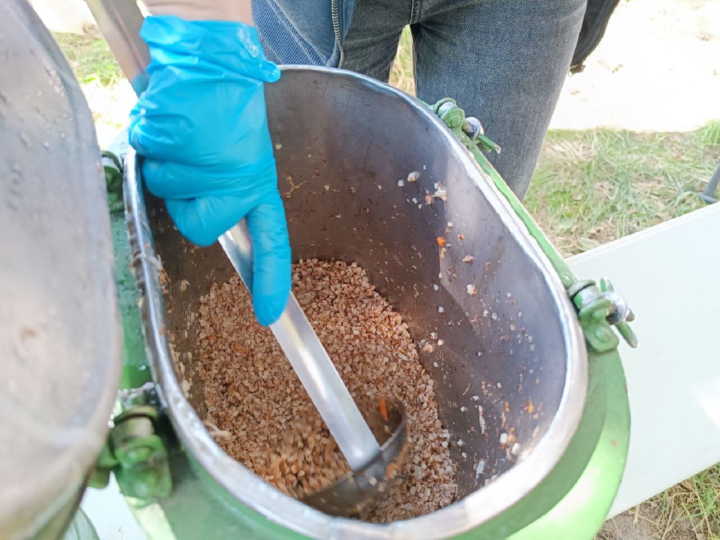 Можайск, Можайский городской округ, Подмосковье, Лес Победы, акция, День Победы