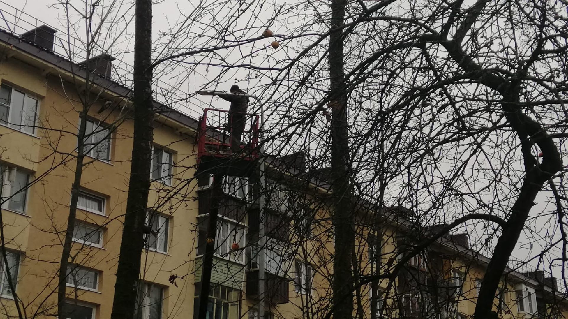 городской округ восход, благоустройство, фонари, уличное освещение,