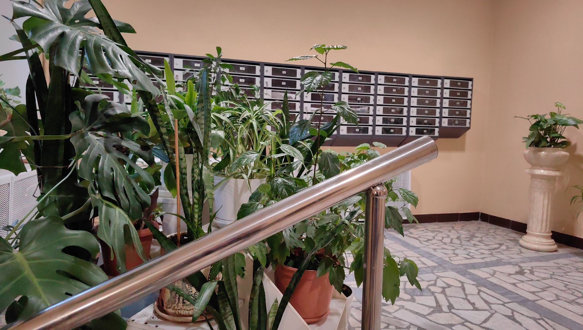 ремонт, подъезд, почтовый ящик, конкурс, двери, плитка,