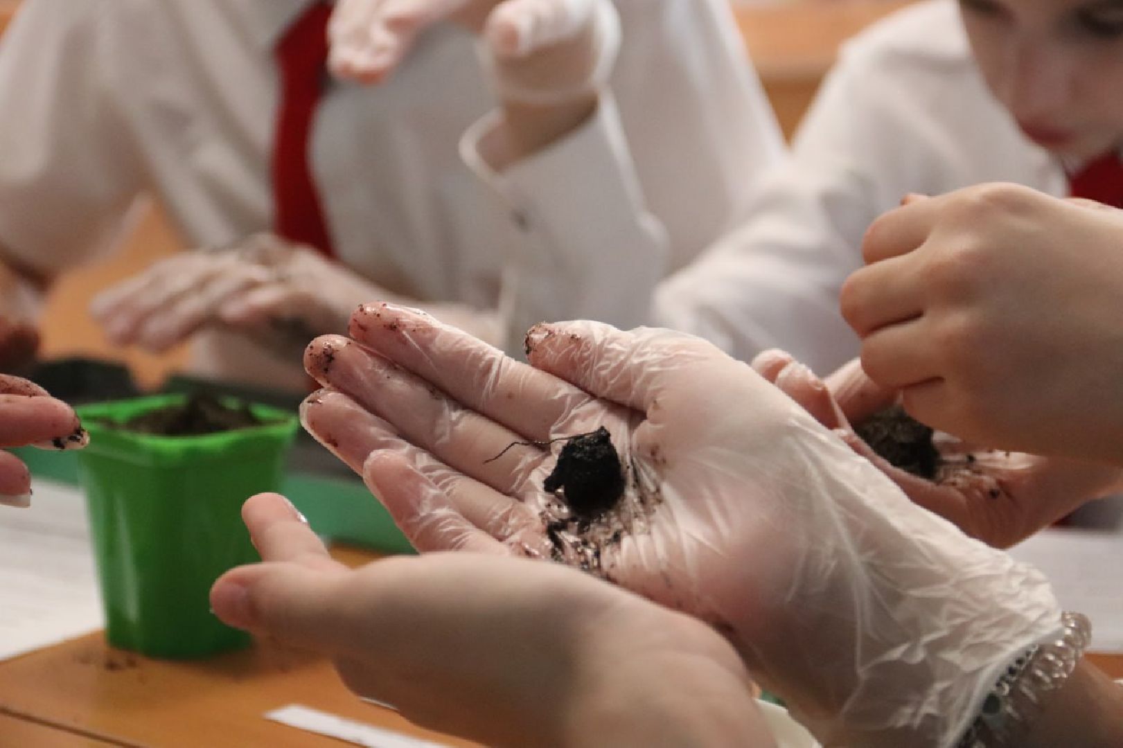 зарайск,  агроклассы, образование,