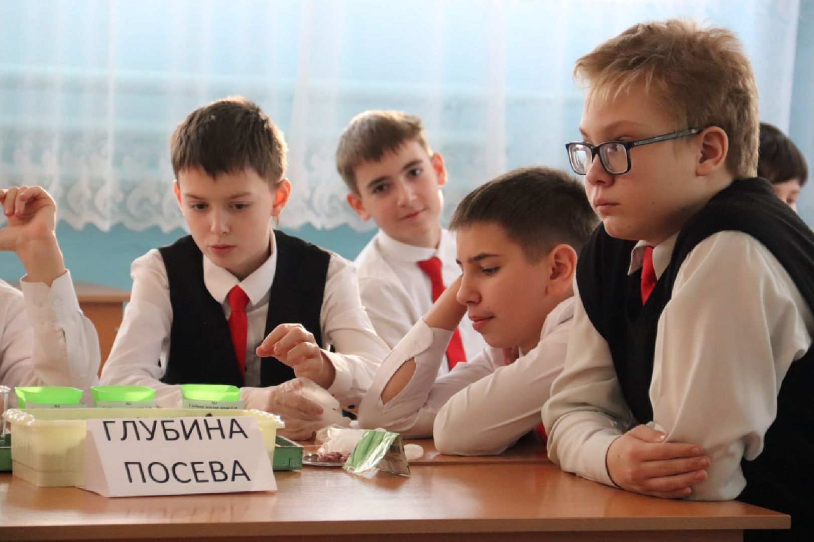 зарайск,  агроклассы, образование,