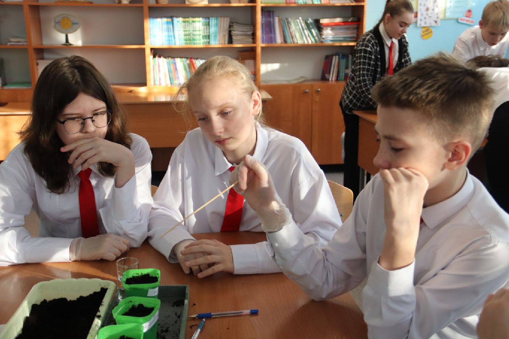 зарайск,  агроклассы, образование,