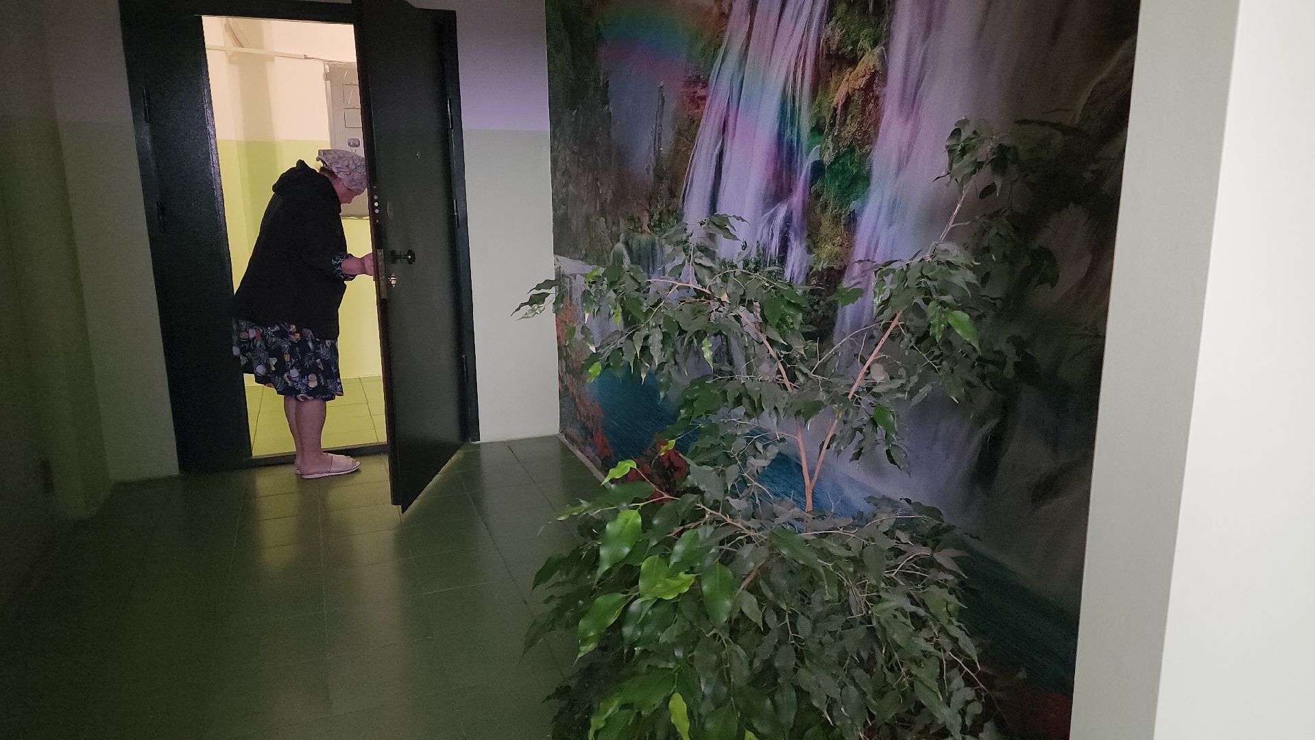 ремонт подьездов, лучший подъезд, орехово-зуевский округ, куровское,