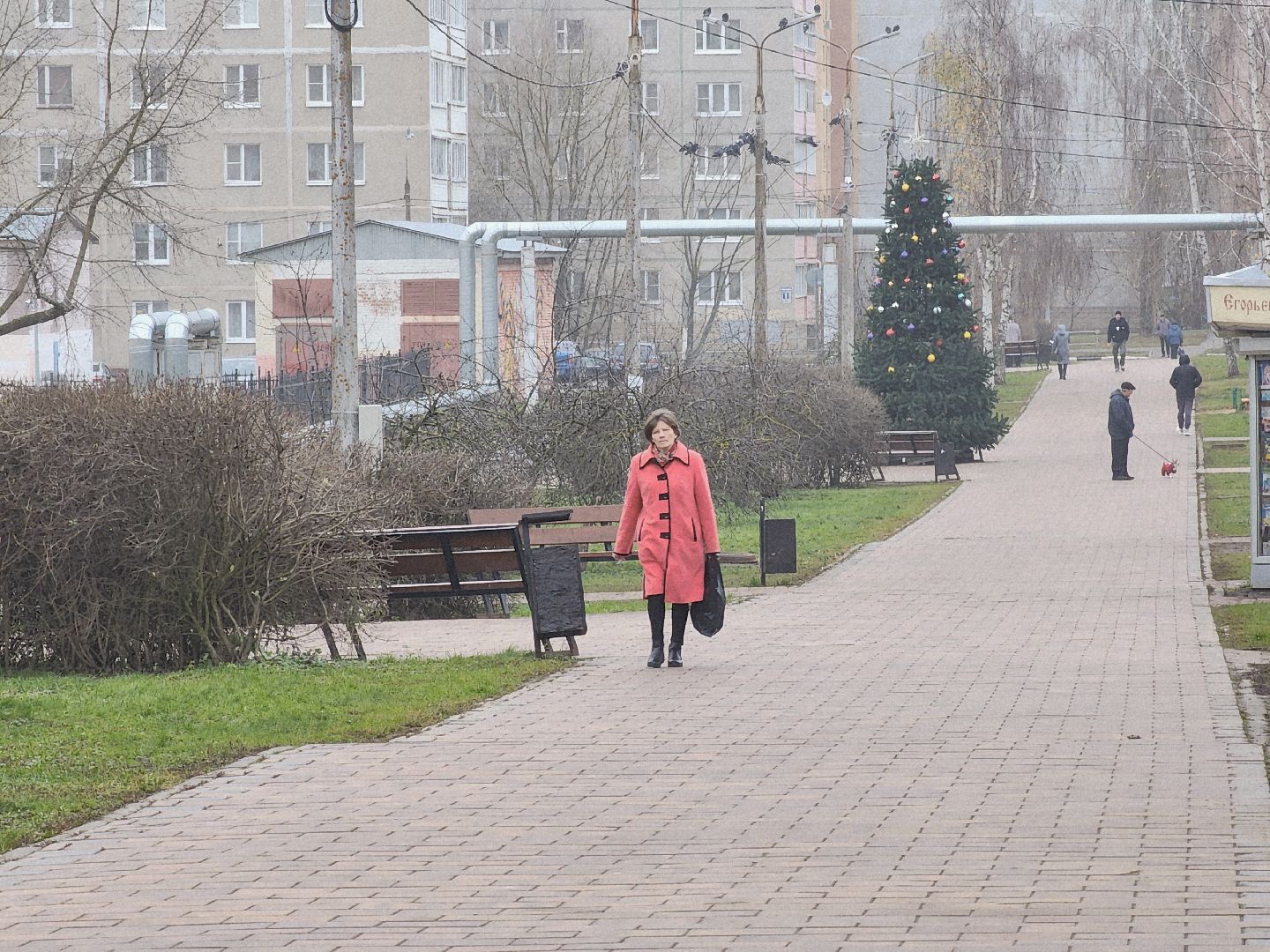 Егорьевск, Зима в Подмосковье, Московская область,