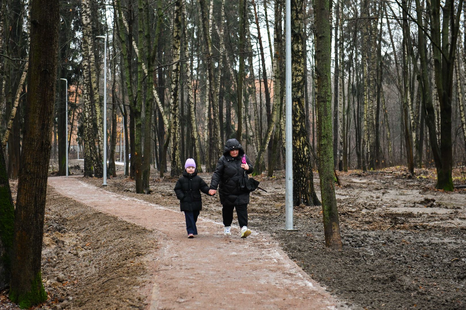 тропа, благоустройство, школа,