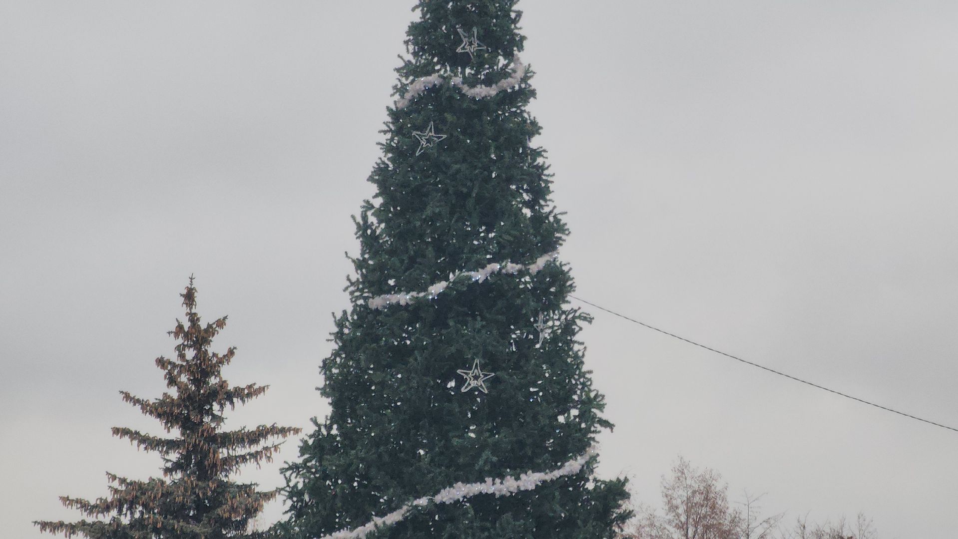 Павловский Посад , Благоустройство ,  Елка,