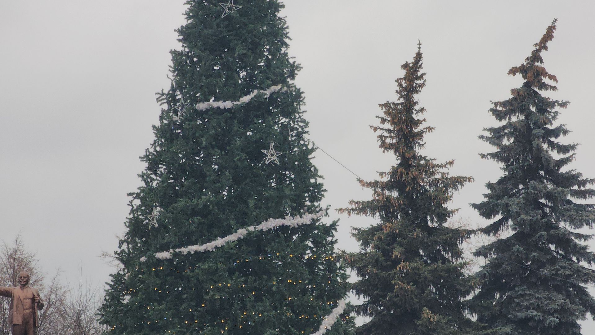 Павловский Посад , Благоустройство ,  Елка,
