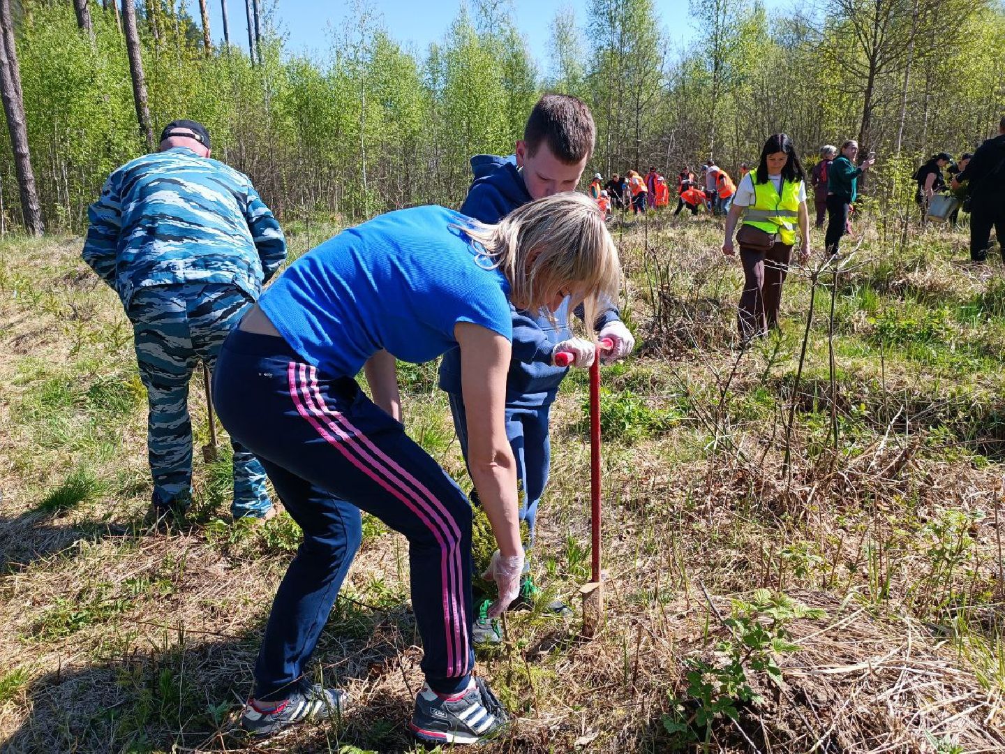 Можайск, Можайский городской округ, Подмосковье, Лес Победы, акция, День Победы