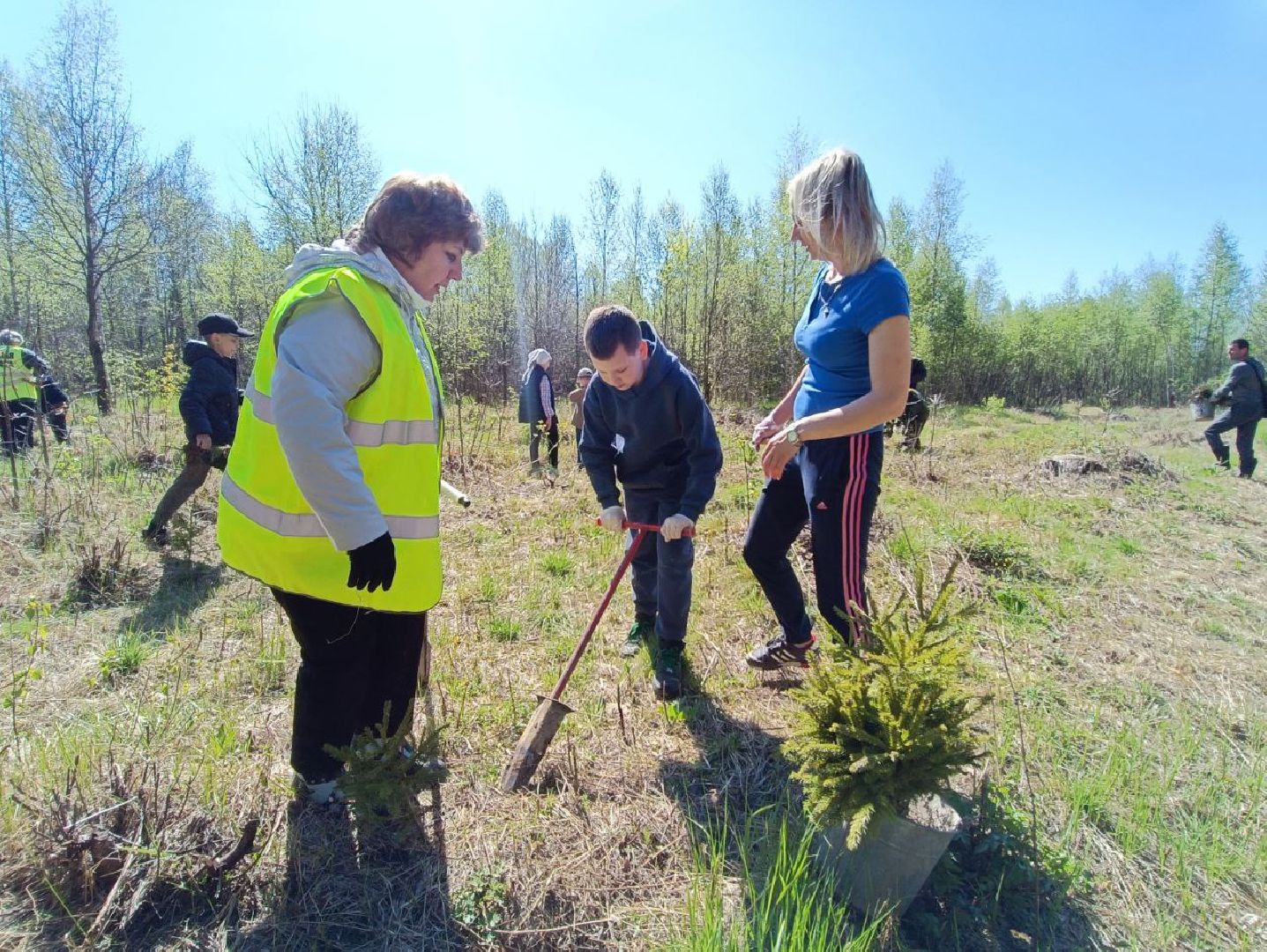 Можайск, Можайский городской округ, Подмосковье, Лес Победы, акция, День Победы