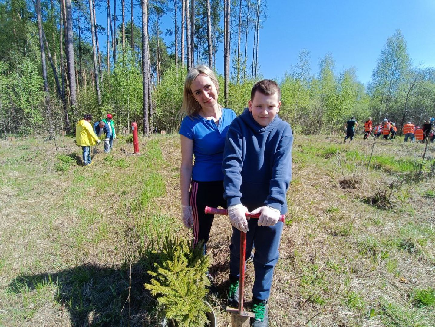 Можайск, Можайский городской округ, Подмосковье, Лес Победы, акция, День Победы