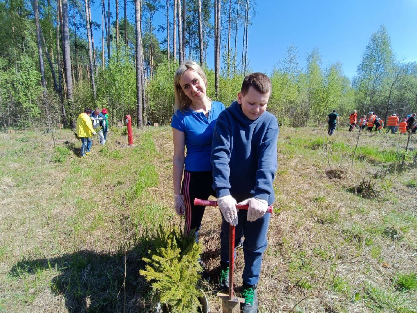 Можайск, Можайский городской округ, Подмосковье, Лес Победы, акция, День Победы