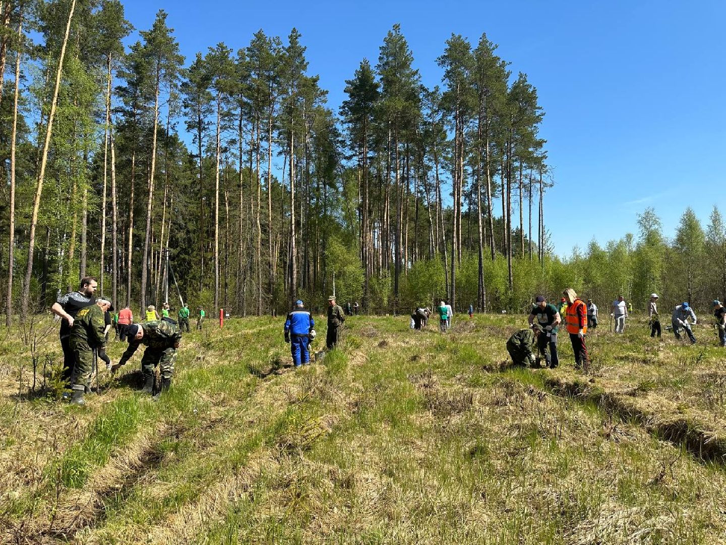 Можайск, Можайский городской округ, Подмосковье, Лес Победы, акция, День Победы