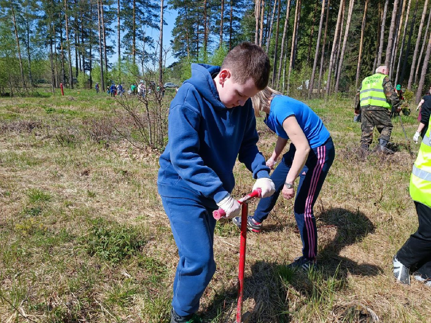 Можайск, Можайский городской округ, Подмосковье, Лес Победы, акция, День Победы