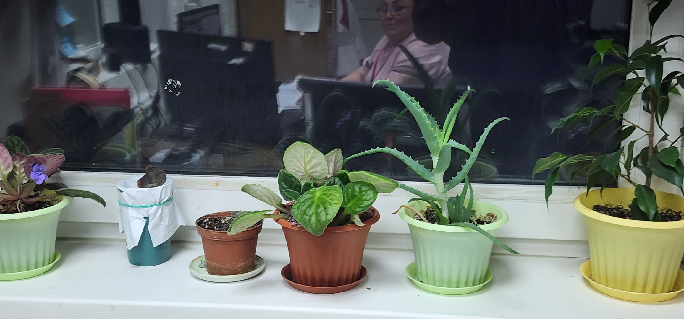 долгопрудный, дцгб, городская поликлиника, рентгенкабинет, рентгенолог, юбилей,