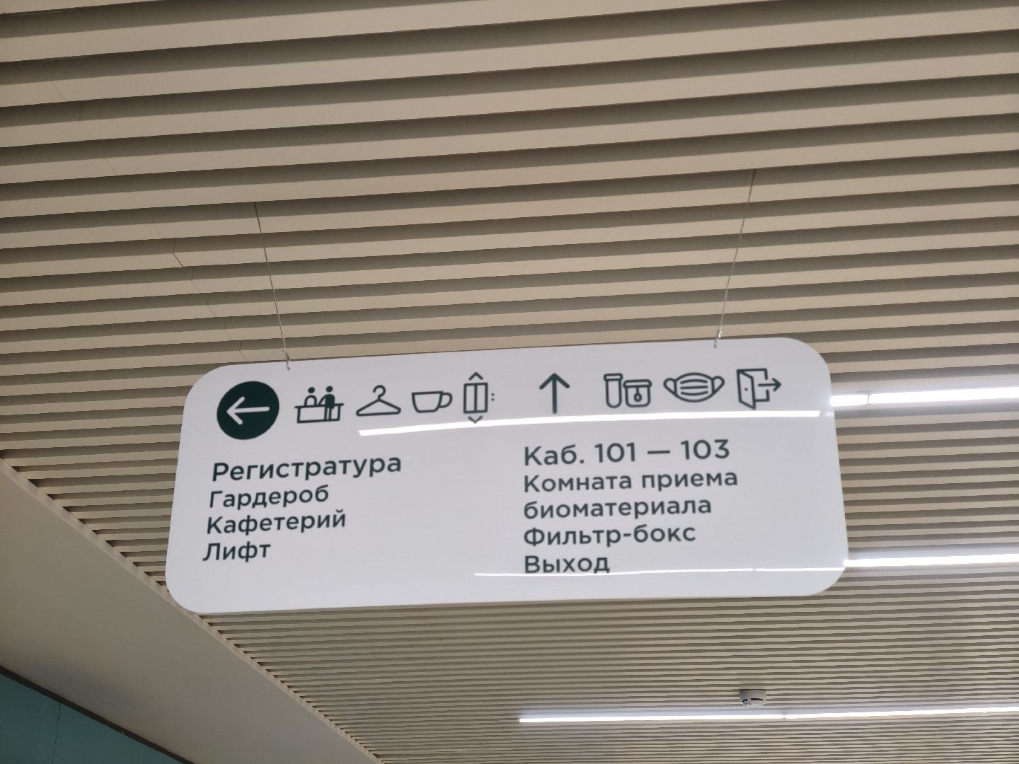 одинцовский округ, кдц ромашково,детское отделение, итоги,