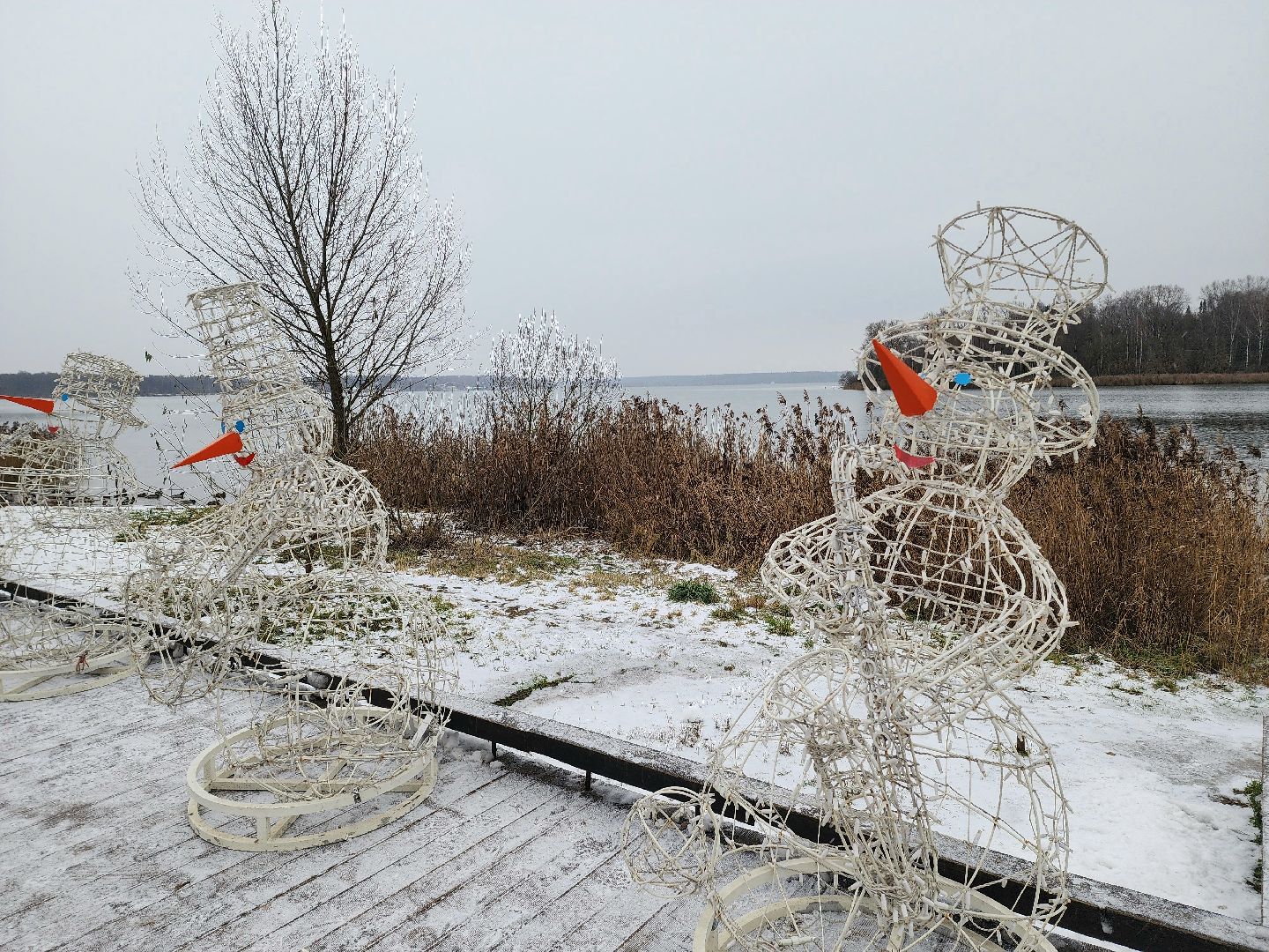 солнечногорск, праздник , зима, новый год,