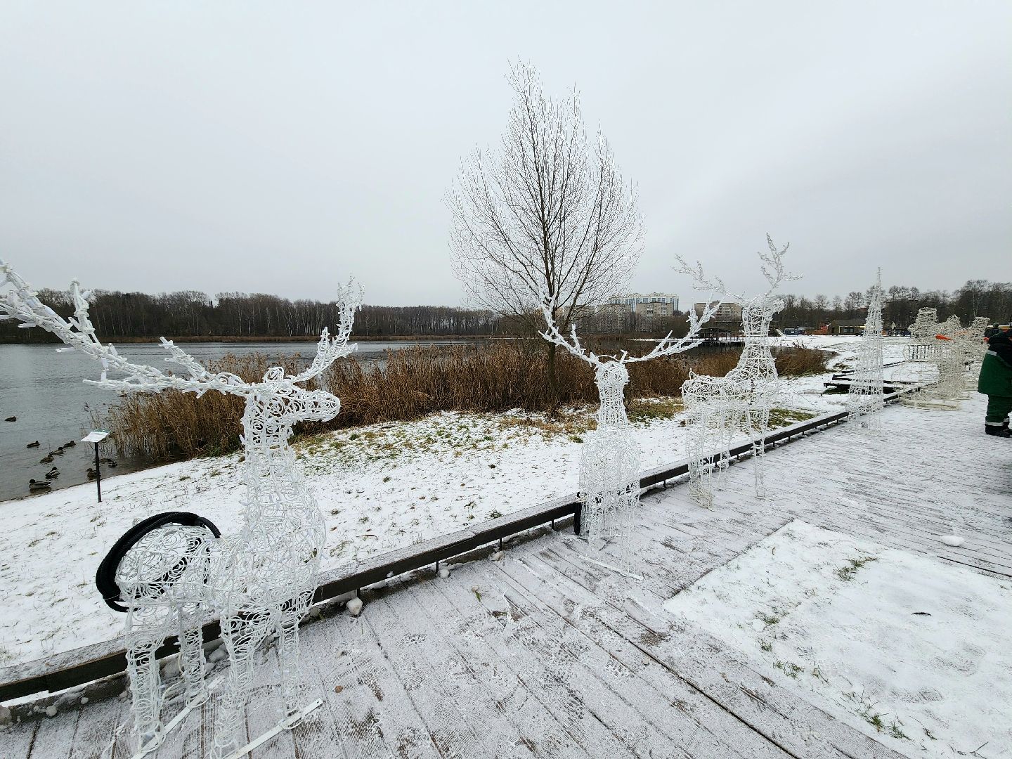 солнечногорск, праздник , зима, новый год,