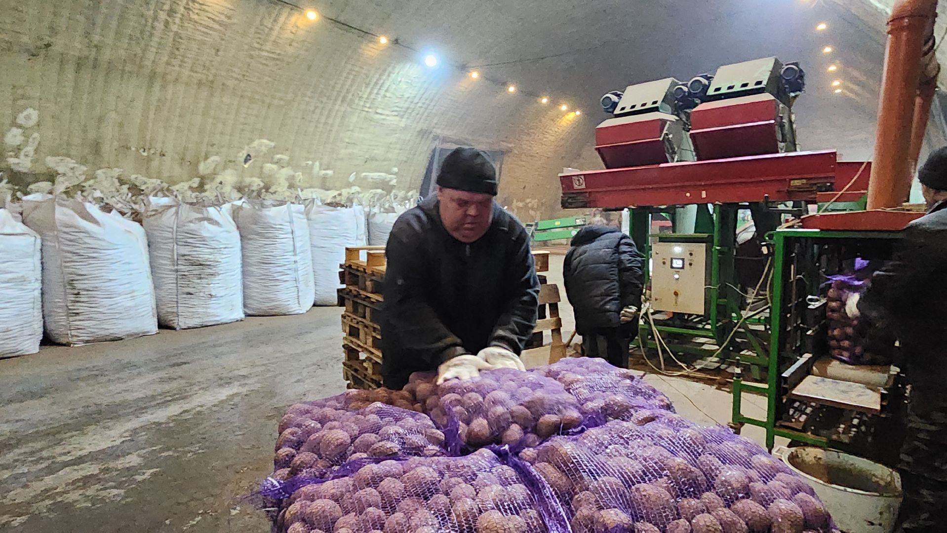 клин, раздолье, картофель, экономика,