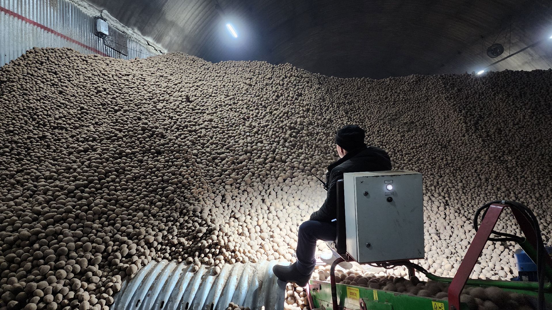 клин, раздолье, картофель, экономика,