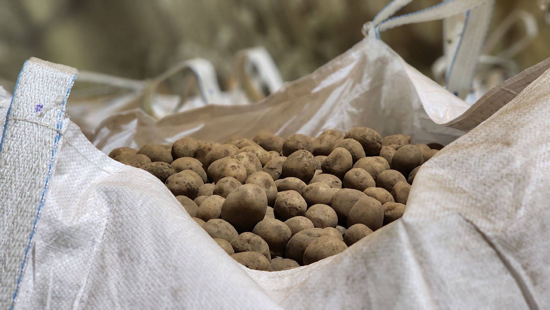 клин, раздолье, картофель, экономика,