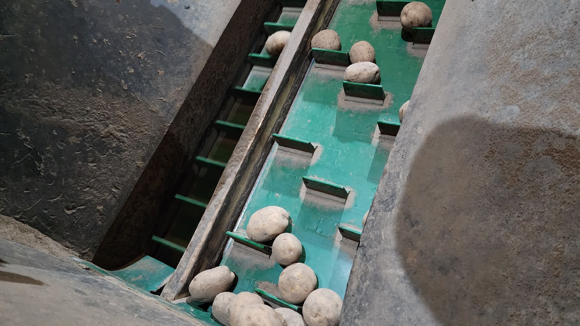 клин, раздолье, картофель, экономика,