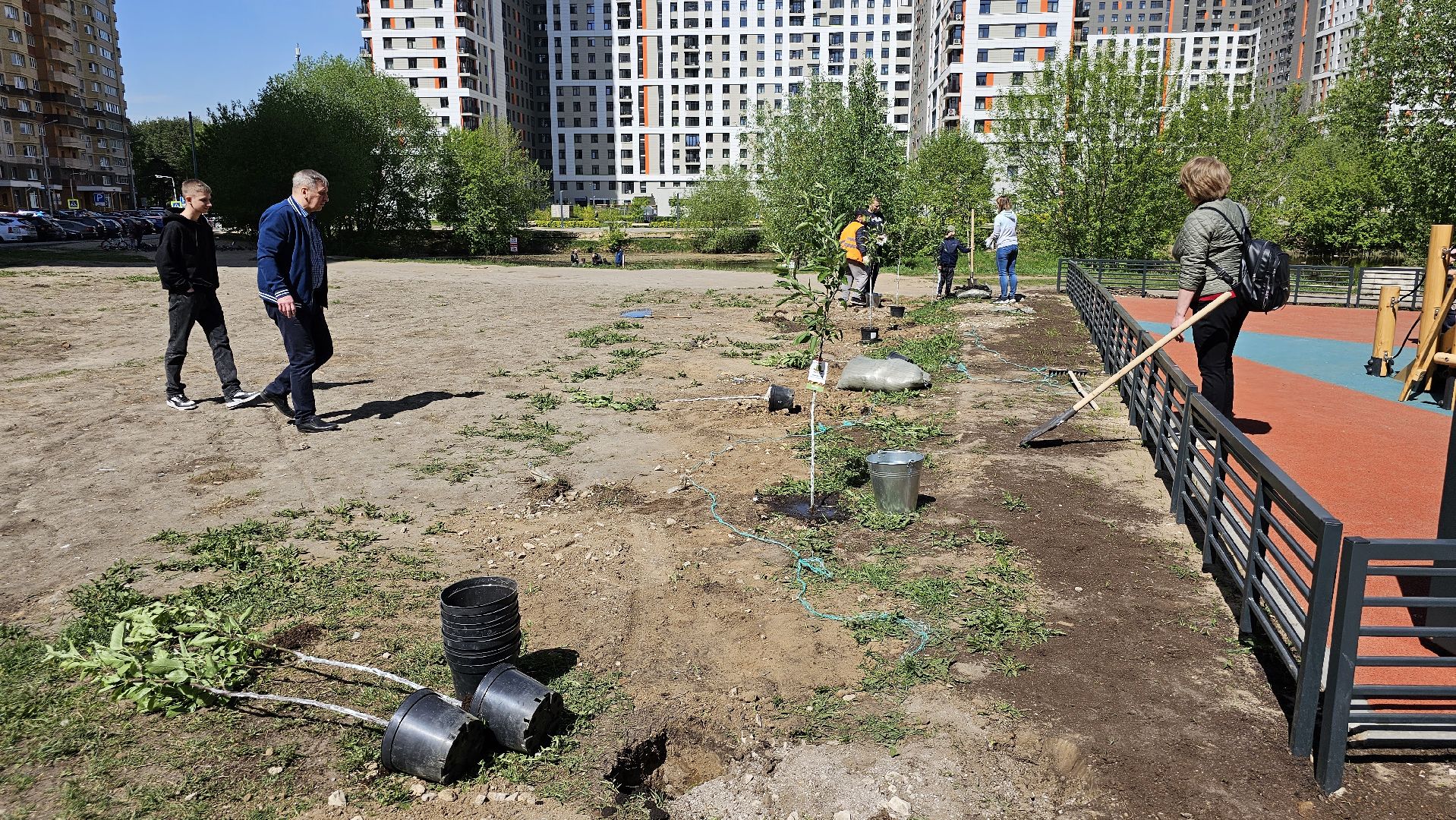 Лес Победы, экология, саженцы, Котельники