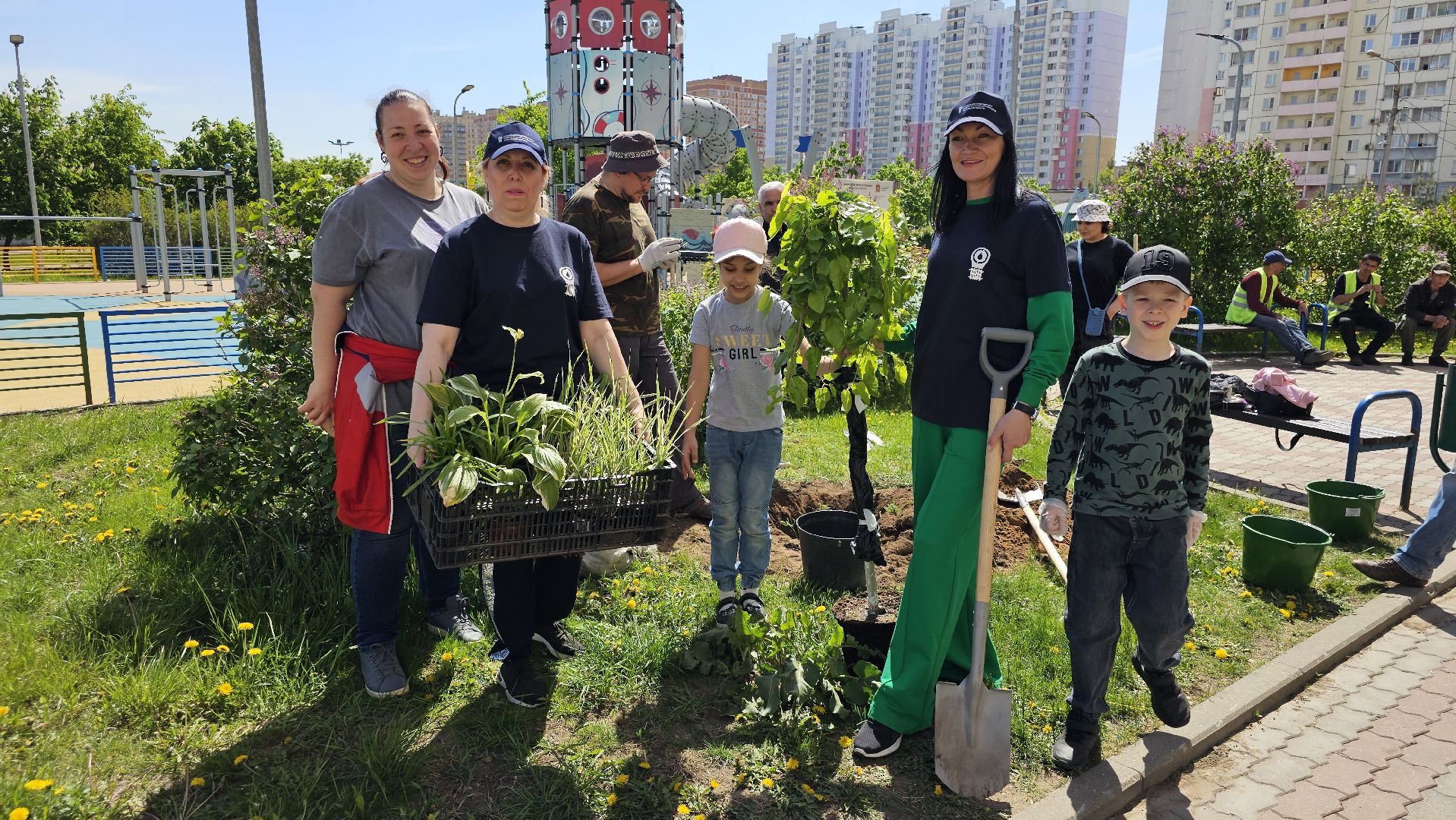 Лес Победы, экология, саженцы, Котельники