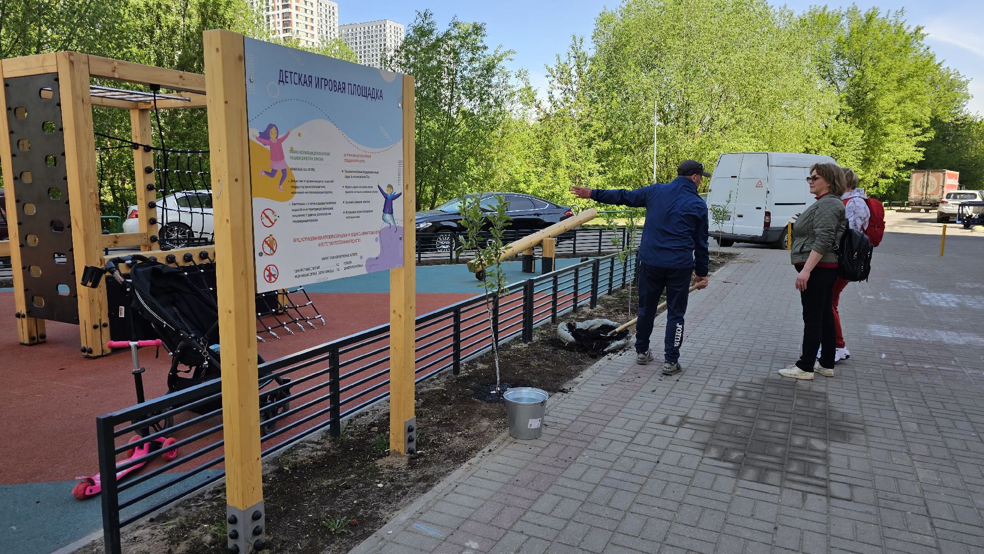 Лес Победы, экология, саженцы, Котельники