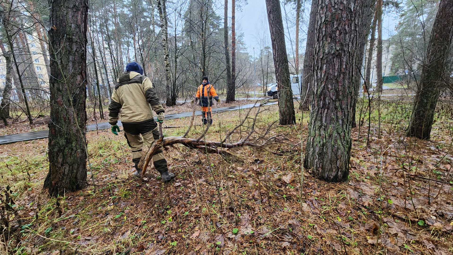 протвино, комбинат благоустройства, городской лес,