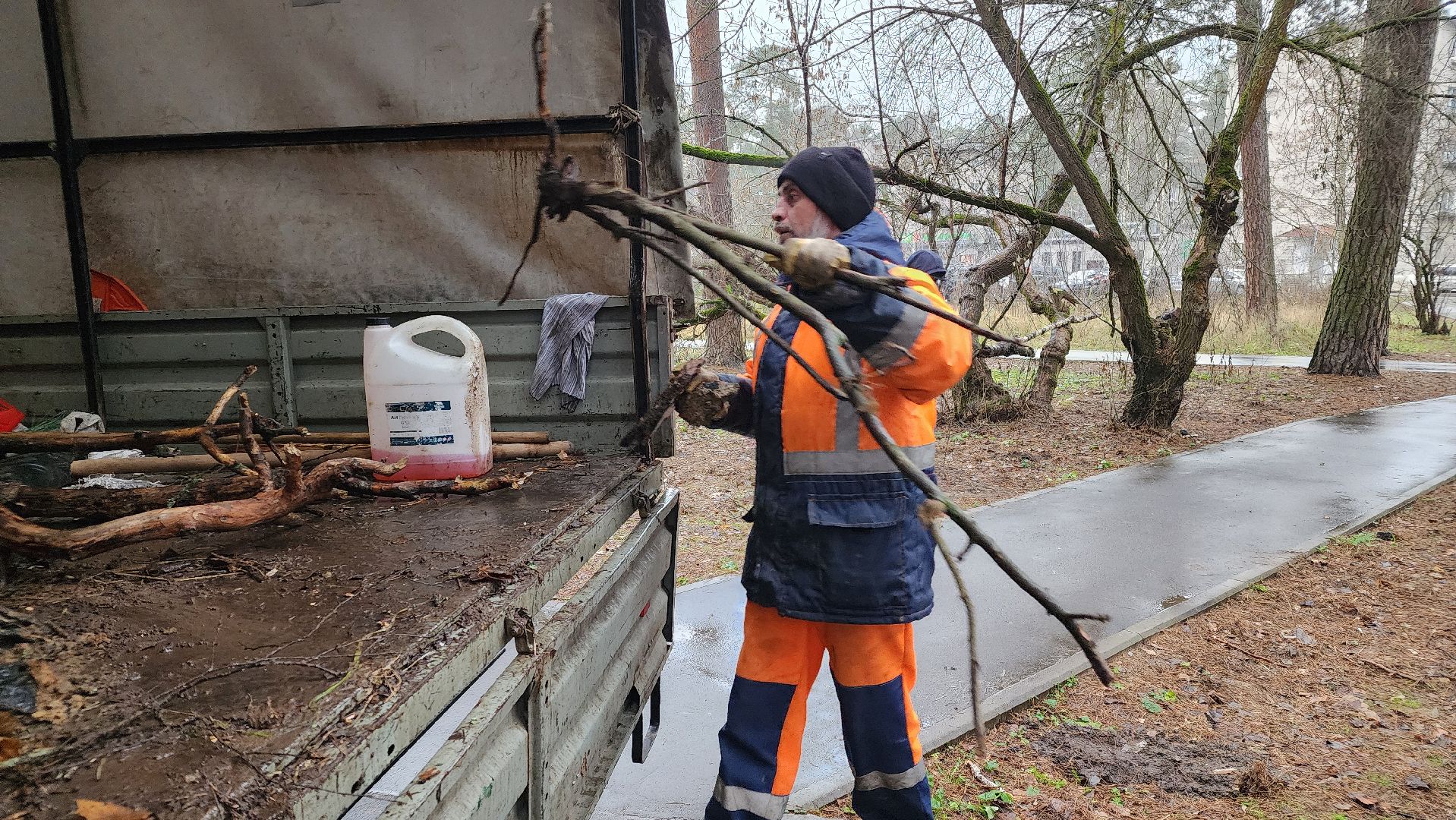 протвино, комбинат благоустройства, городской лес,