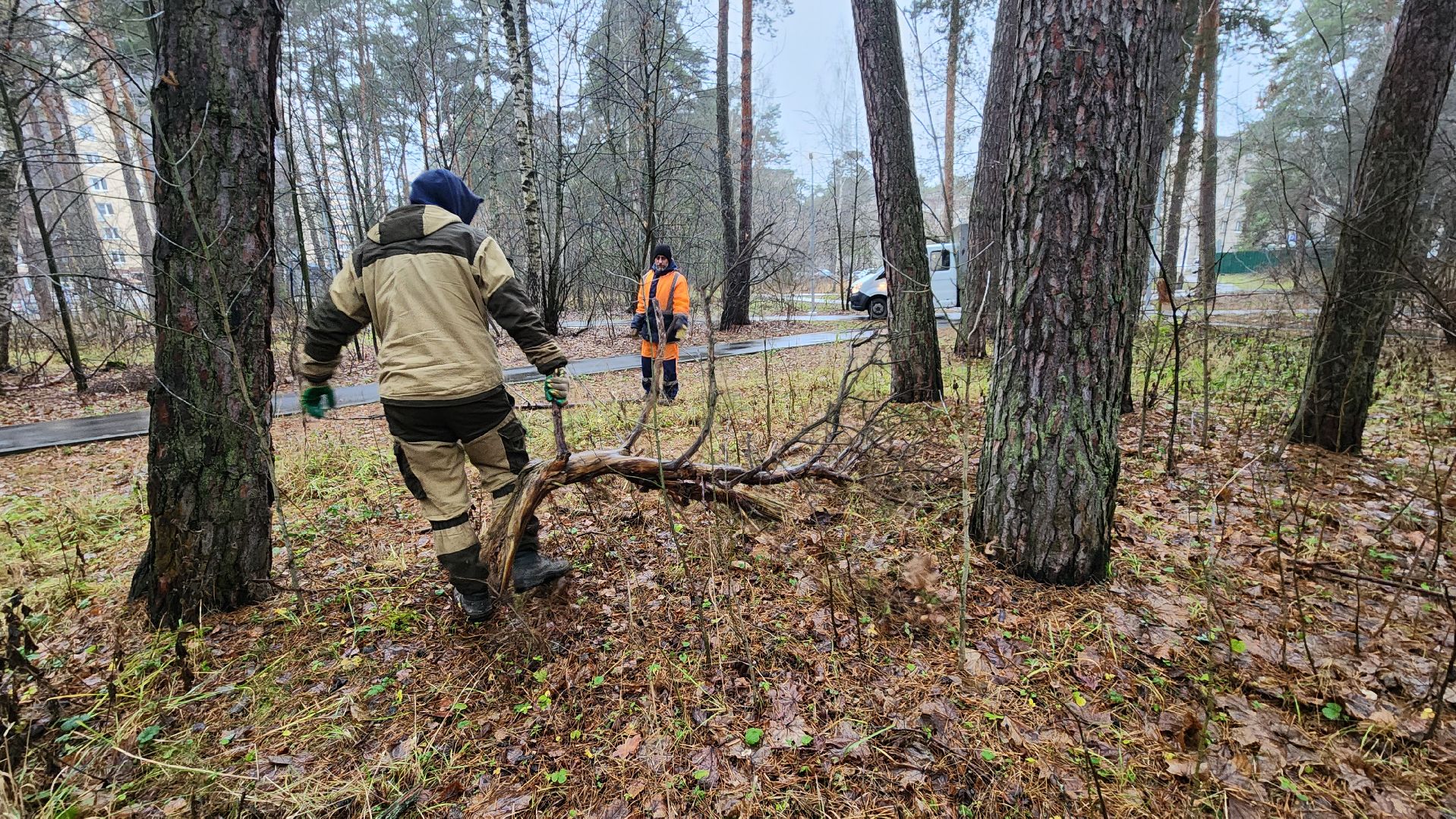 протвино, комбинат благоустройства, городской лес,