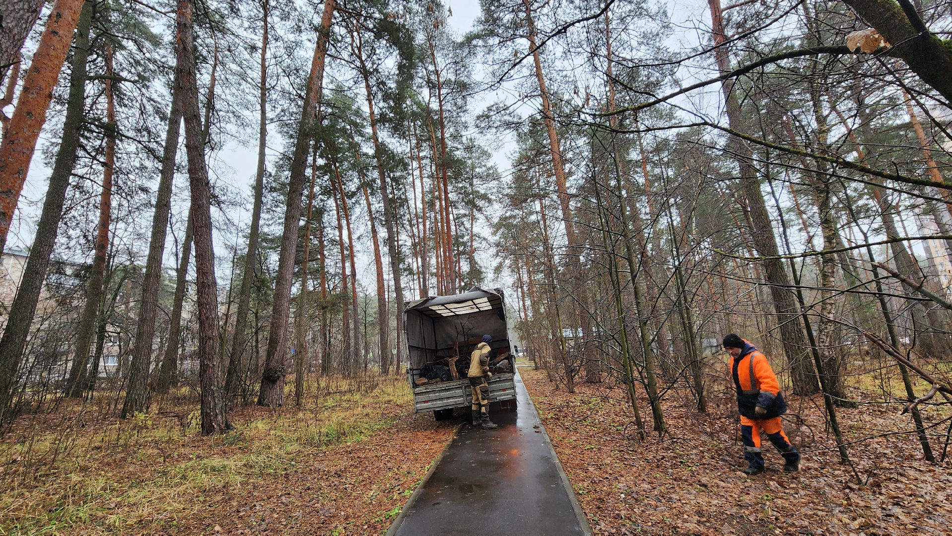 протвино, комбинат благоустройства, городской лес,