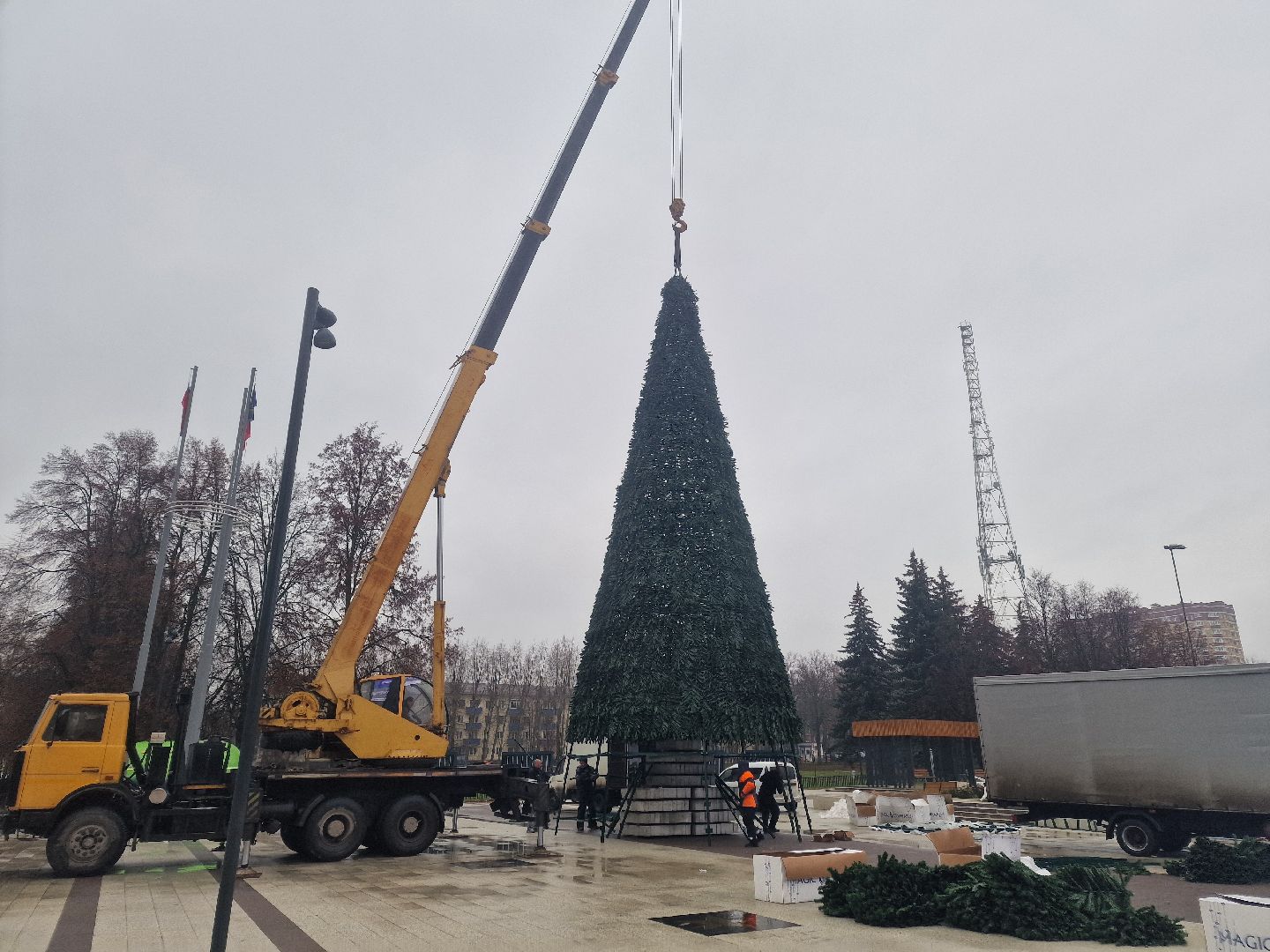 воскресенск,  зима в подмосковье, новогодние ели,