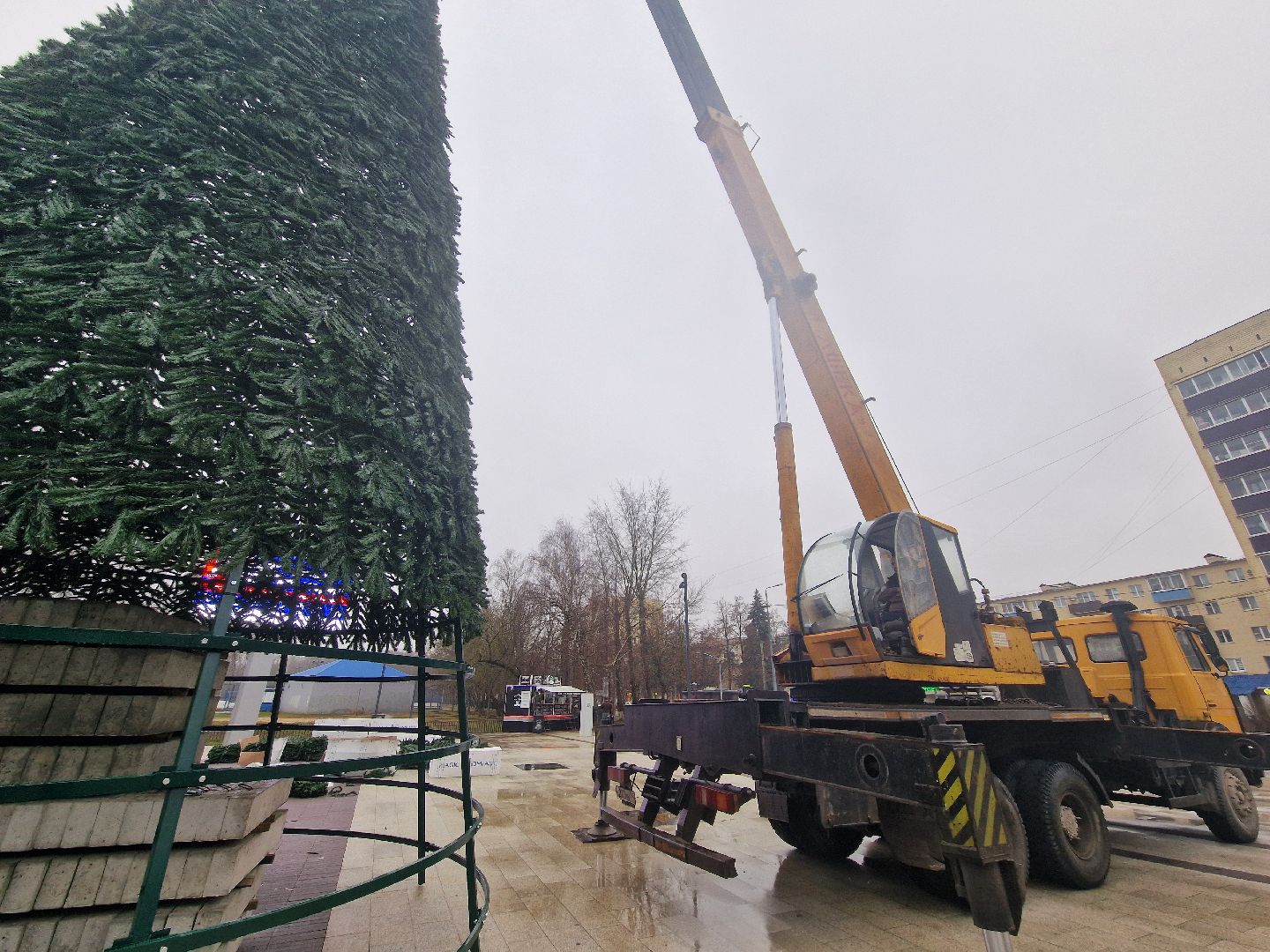 воскресенск,  зима в подмосковье, новогодние ели,