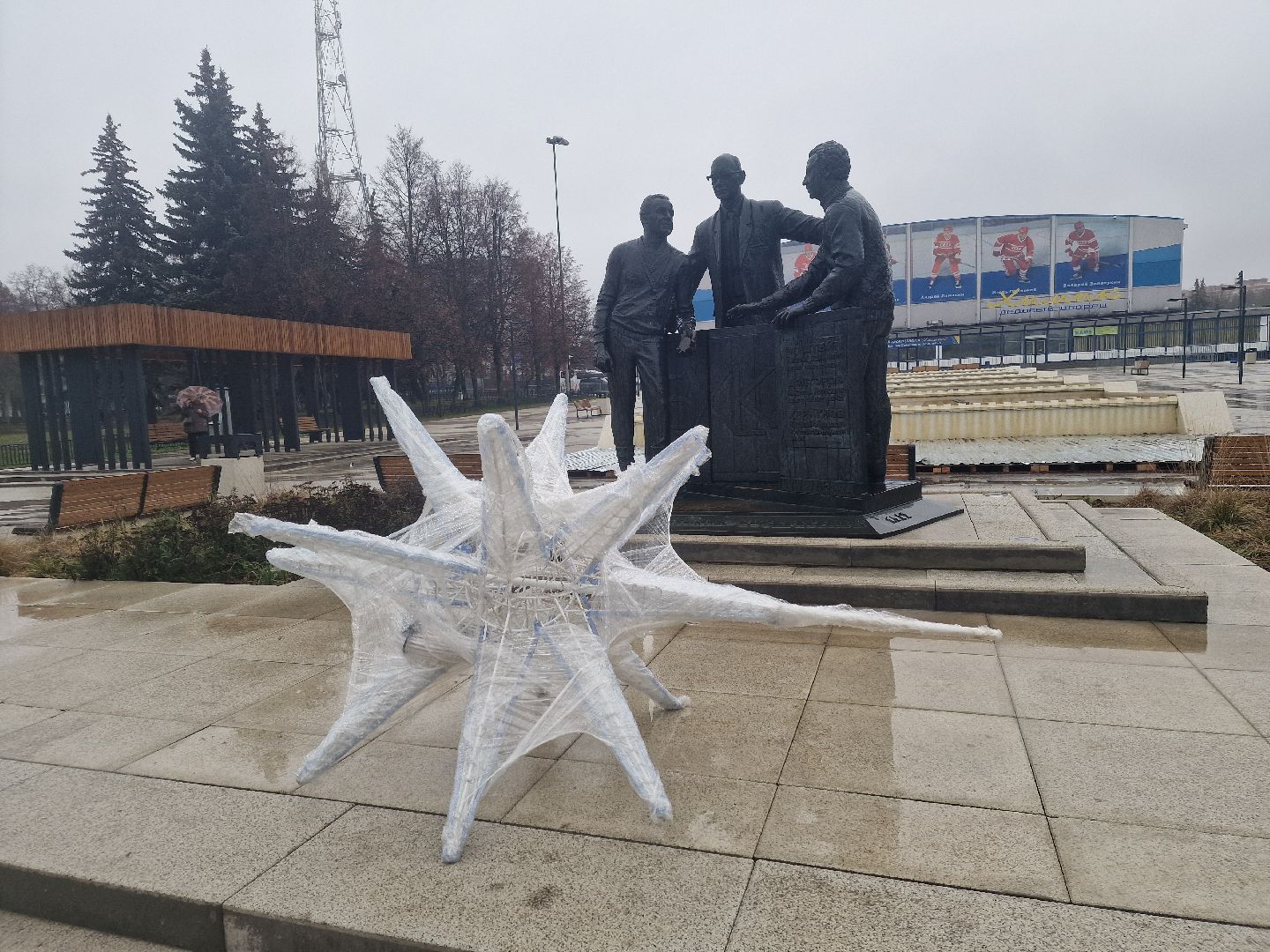 воскресенск,  зима в подмосковье, новогодние ели,