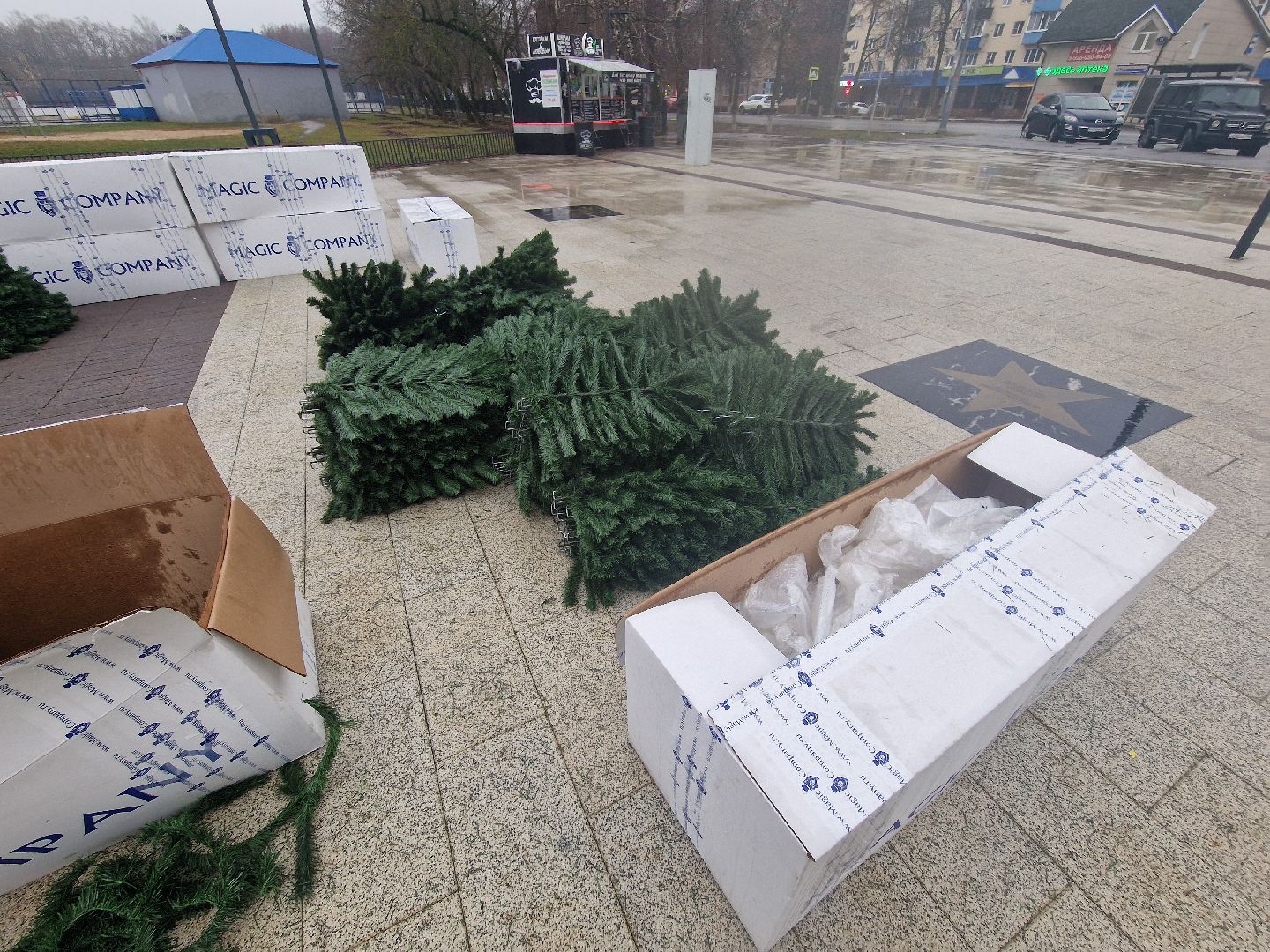 воскресенск,  зима в подмосковье, новогодние ели,