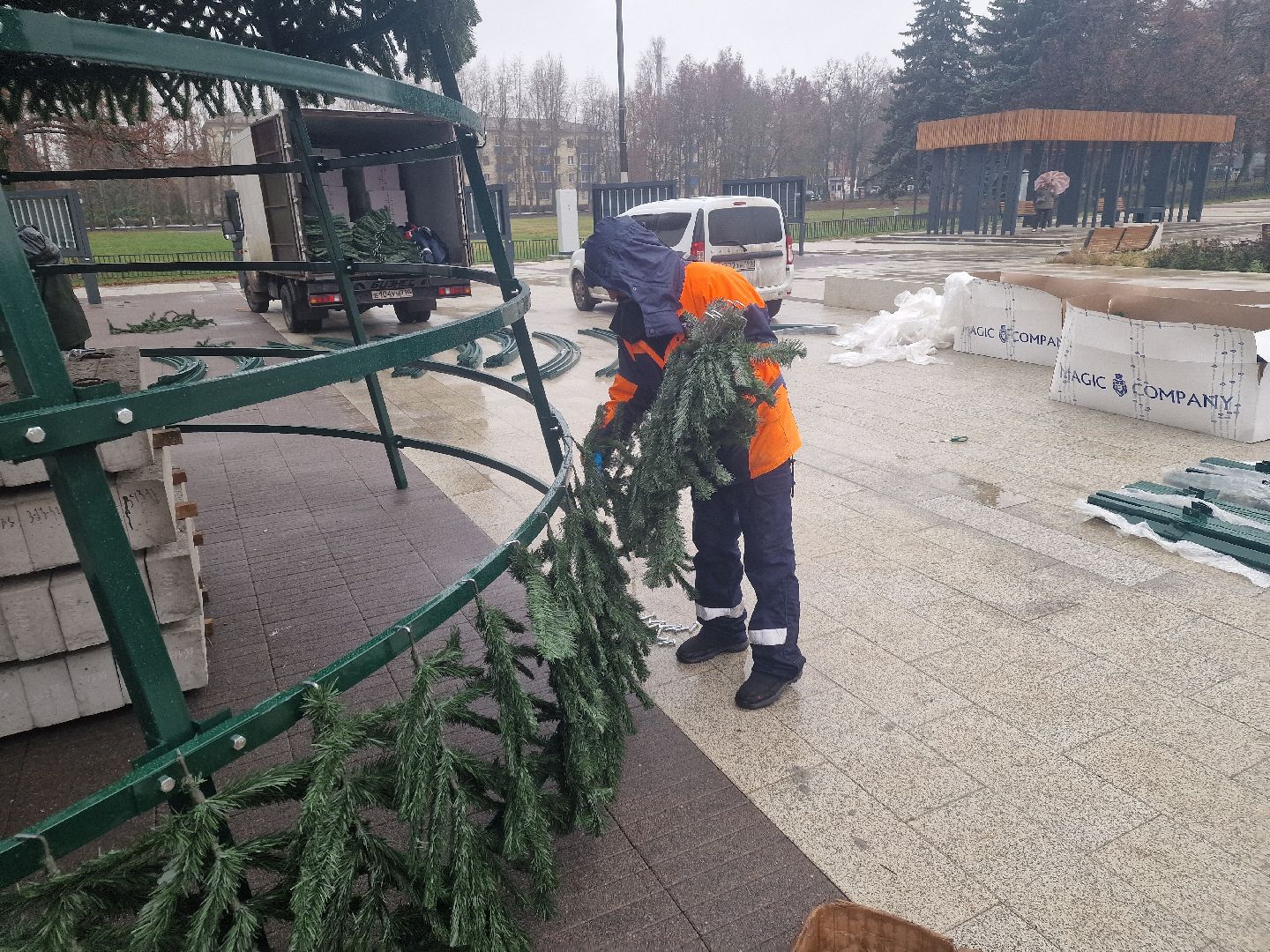 воскресенск,  зима в подмосковье, новогодние ели,