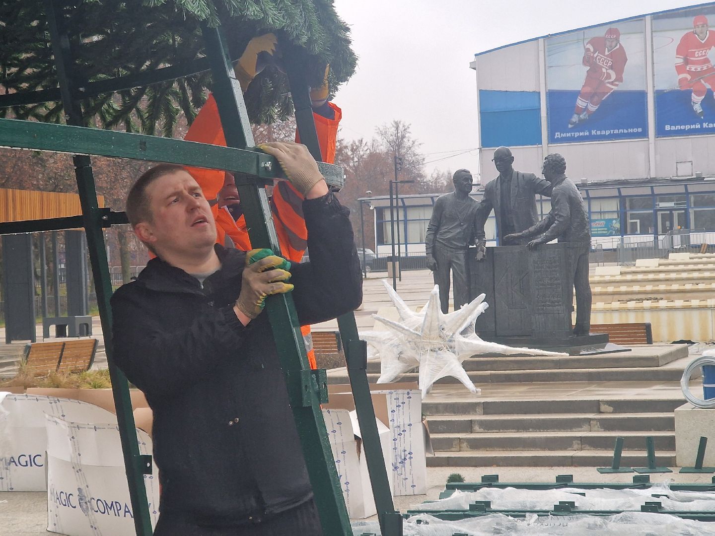 воскресенск,  зима в подмосковье, новогодние ели,